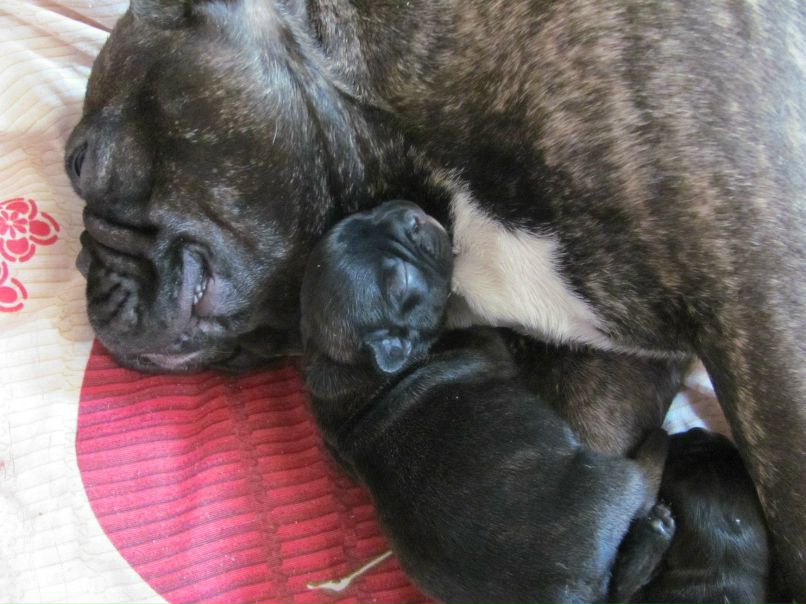 Наталья Долотова | Рыбинск