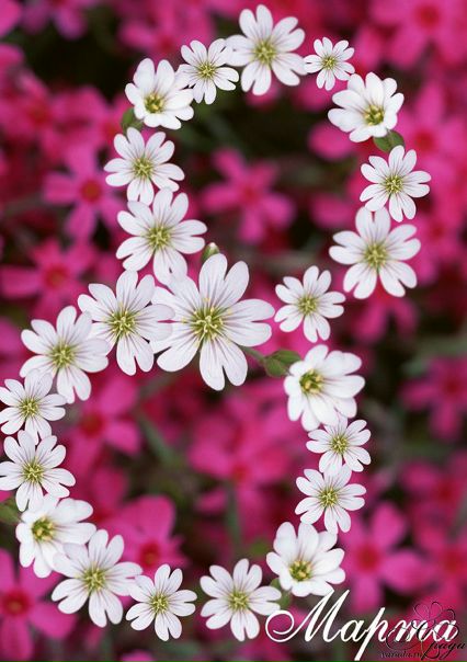 №1, Василий Ерофеев, 36 лет, Санкт-Петербург, Россия №1, Василий Ерофеев, 36 лет, Санкт-Петербург, Россия