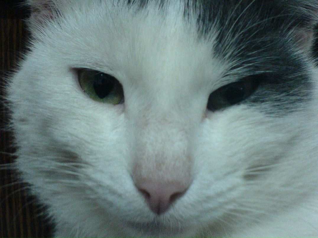 Валера Куршин | Набережные Челны