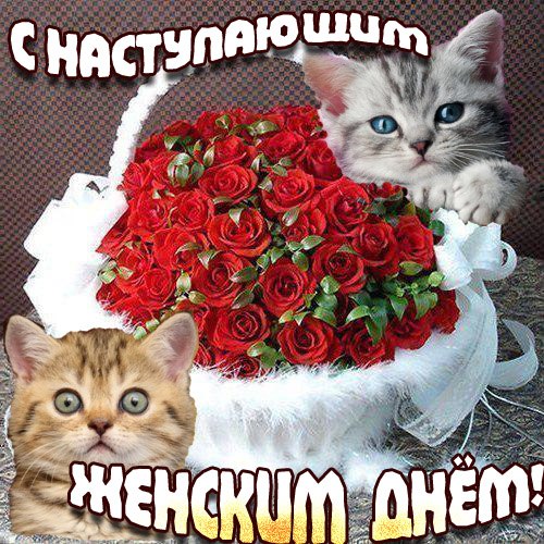 Евгений Любимов | Киров
