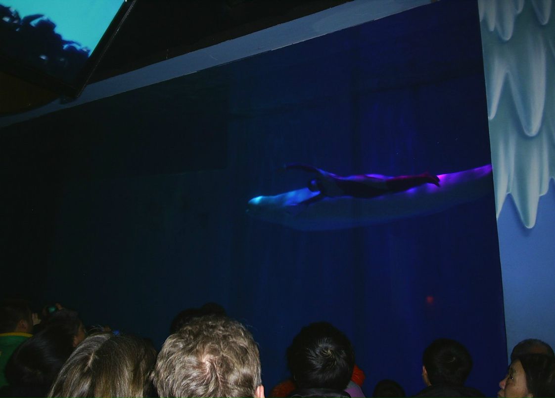 Сергей Пономарев ˙·٠✈ | Новосибирск