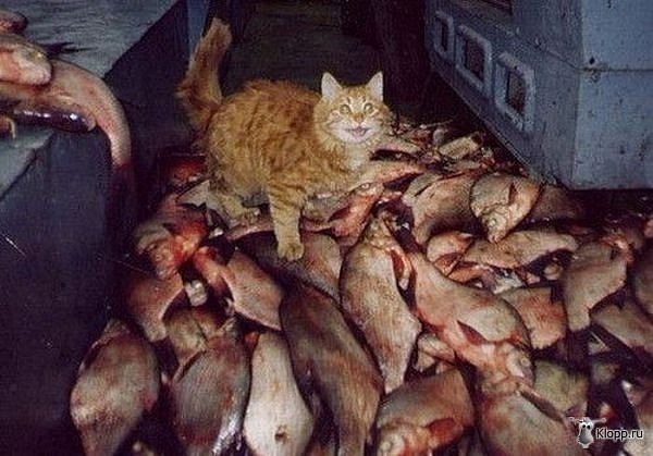 №18, Андрей Другомилов, 41 год, Минск №18, Андрей Другомилов, 41 год, Минск