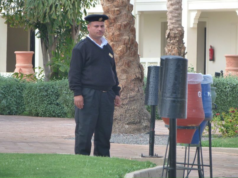 Алексей Кузнецов | 