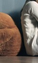 Фотография Юлия Понизовцева