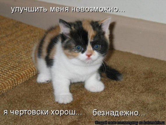 Влад Бушин | Льгов