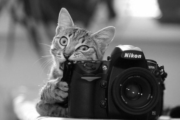 Надежда Пахомова | Санкт-Петербург