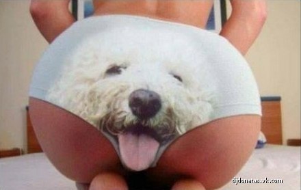 Серёга Пестич | Ростов-на-Дону