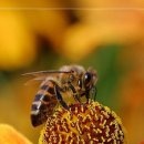 №151, Олег Водинов, Череповец №151, Олег Водинов, Череповец