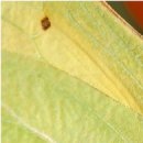 №26, Олег Водинов, Череповец №26, Олег Водинов, Череповец