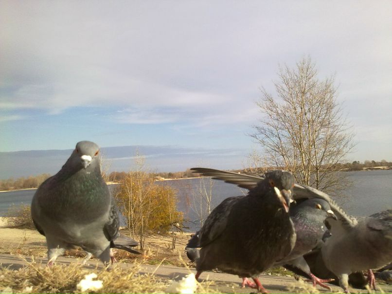 Богдан Бессмертный | Santiago