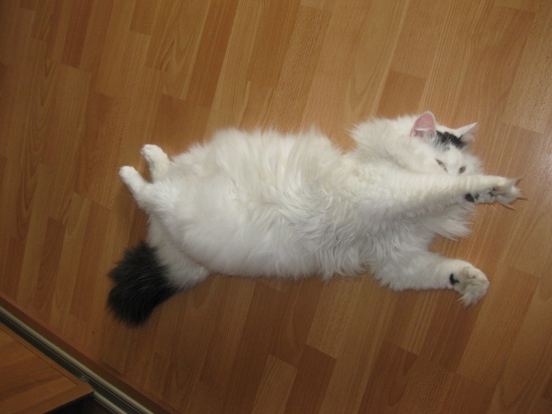 Tanya Mazazolina | Москва