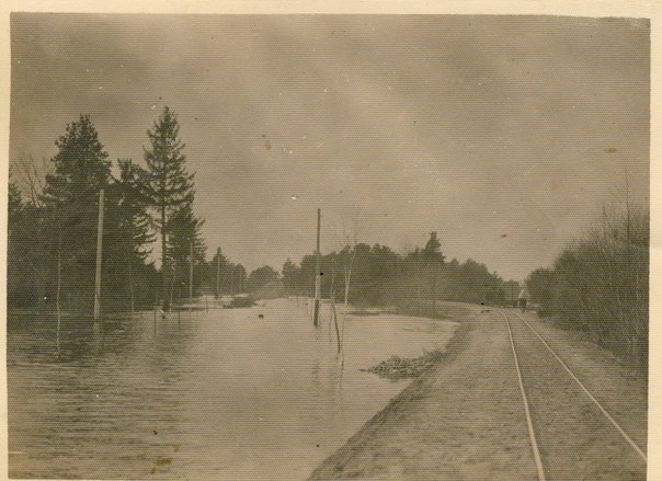 №93, Юрась Дзяшук, Березовка №93, Юрась Дзяшук, Березовка