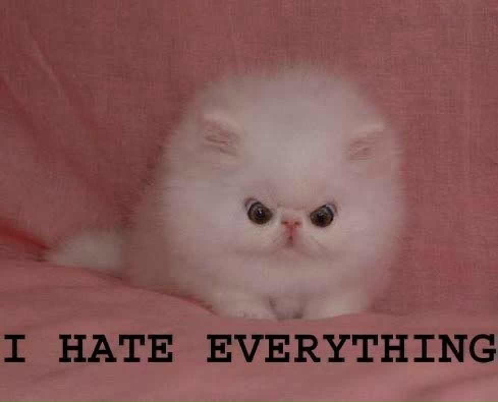 Артем Ширинков | Springfield