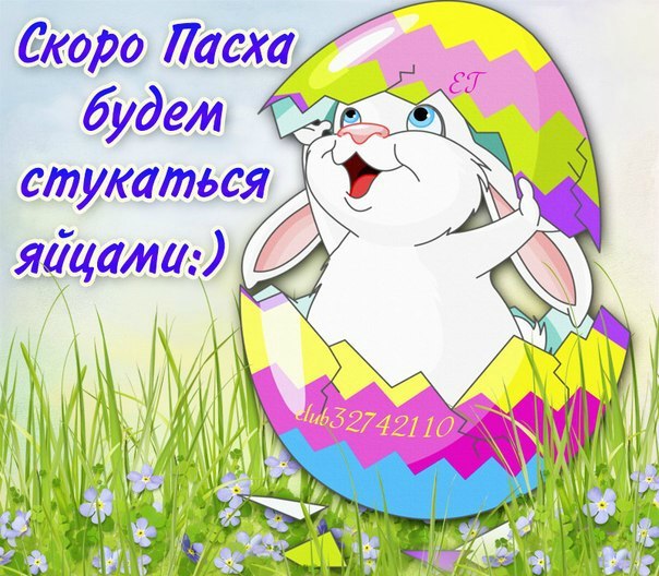 Алёна Сироткина ღ......ღ | Красноярск