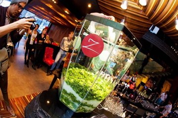 Анна Путинцева Игоревна | 