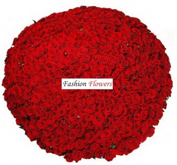 Павел Митрошенко | Новосибирск