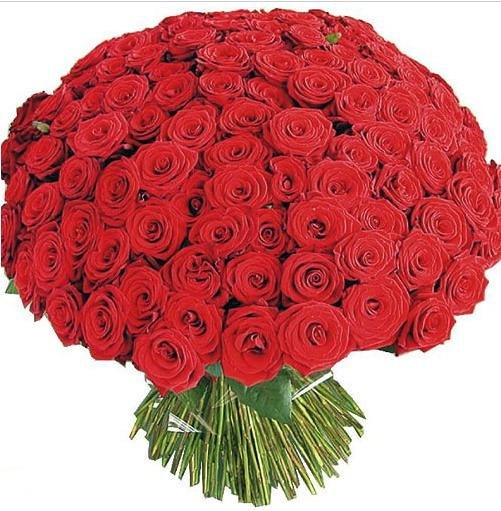 Павел Митрошенко | Новосибирск