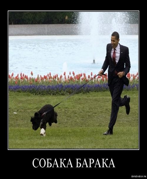 Андрей Лефутуренко | Киев