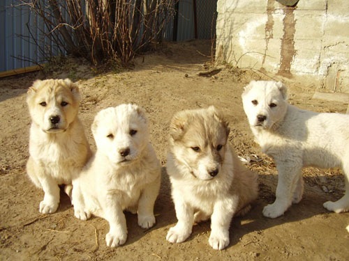 №3, Анна Пуртова, Тюмень №3, Анна Пуртова, Тюмень