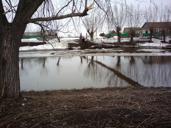 Сергей Семенов | Иннополис