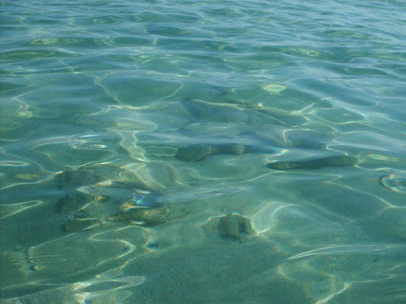 Алмаз Сабиров | Казань