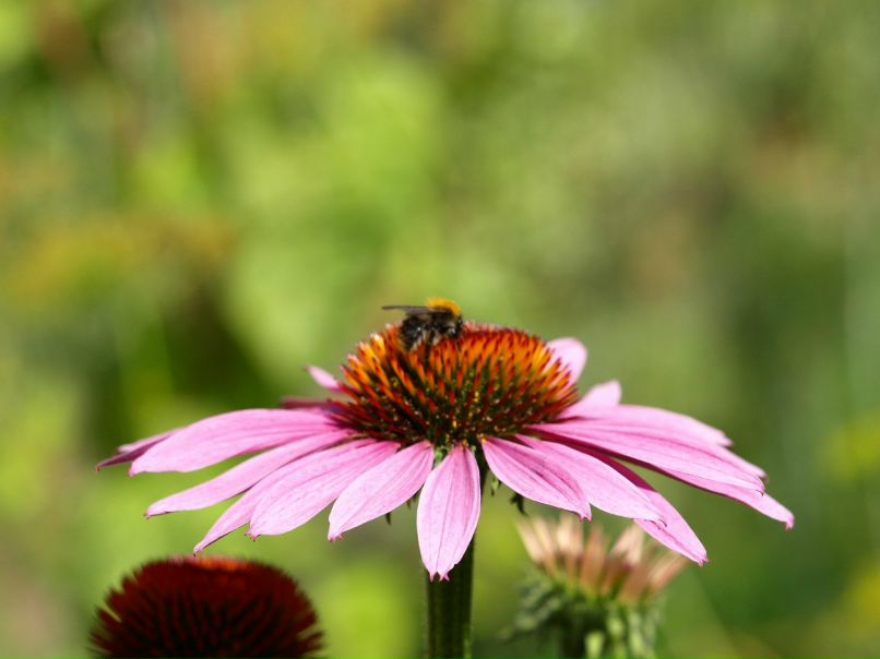 Елена Рылова | Пермь