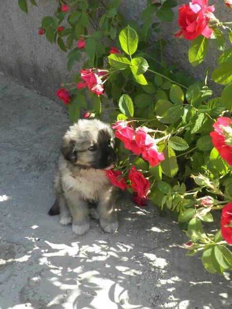 №93, Виктория Швачка, Харьков №93, Виктория Швачка, Харьков