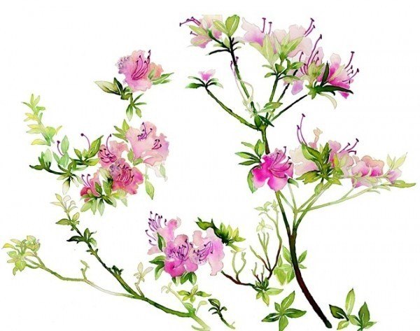 Аделя Сушко | Волгоград