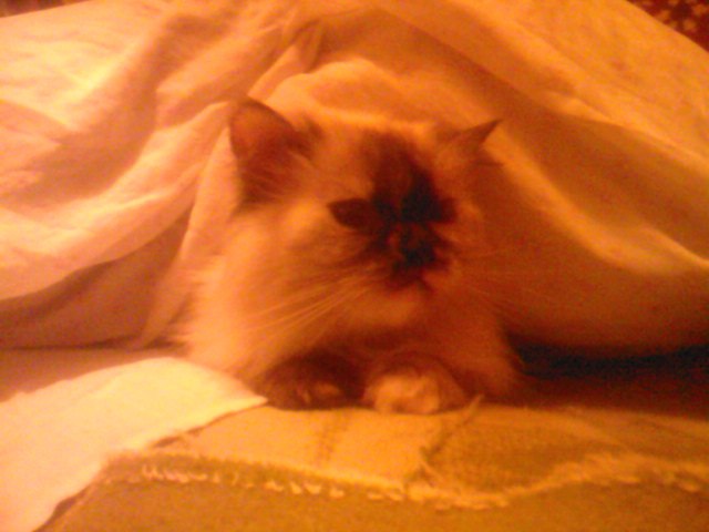 Анастасия Кличко | Новосибирск