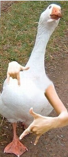 Саша Турыгин | Задонск