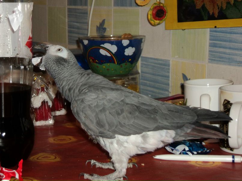 Ирина Штурхалёва | Санкт-Петербург