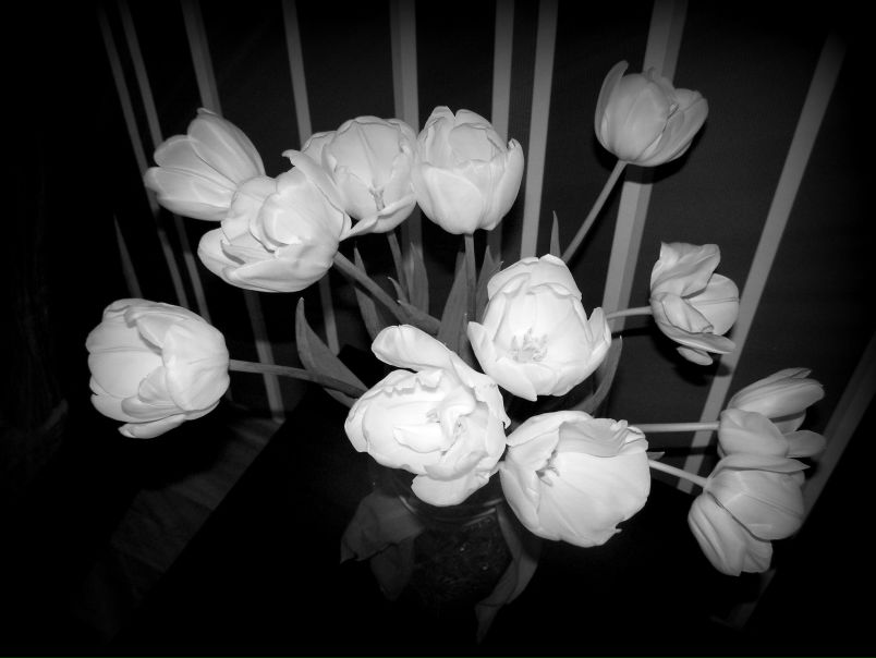 №56, Ксюша Вишнякова, 36 лет, Краснодар, Россия №56, Ксюша Вишнякова, 36 лет, Краснодар, Россия