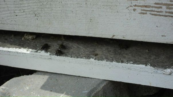 №75, Hamza Methanni, Омск №75, Hamza Methanni, Омск