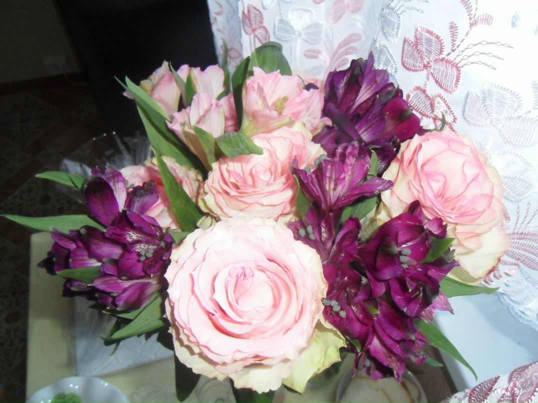 Любовь Сенаторова | Омск