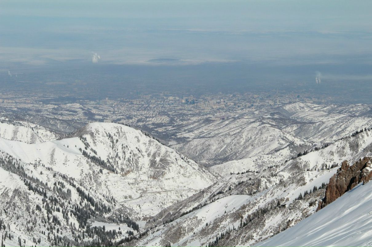 Дмитрий Шкарбанов | Алматы