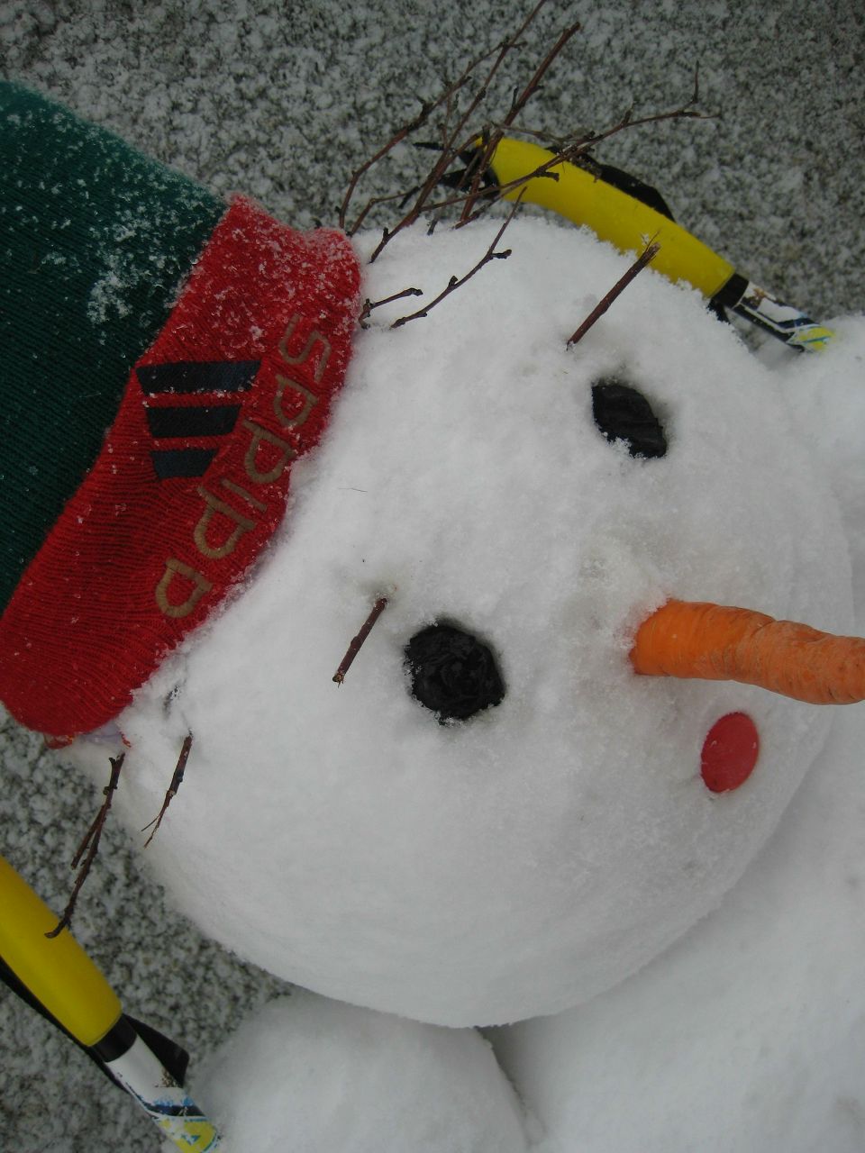 Мария Занкина | Новосибирск