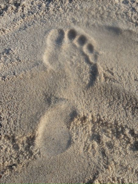 №67, Anastasia Ana-Stay-Sha, Санкт-Петербург, Россия №67, Anastasia Ana-Stay-Sha, Санкт-Петербург, Россия