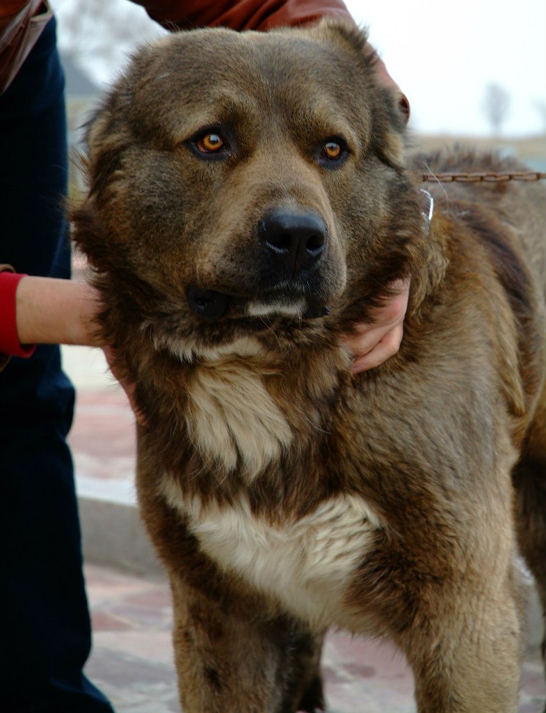 Владислав Бичурин | Москва