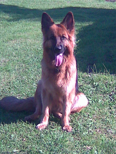 Анна Серова | Вологда