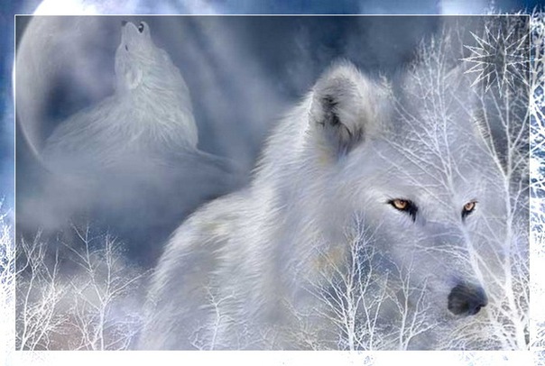 №16, Иван Карасёв №16, Иван Карасёв