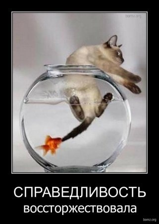 №48, Ярослав Соколов, Москва №48, Ярослав Соколов, Москва