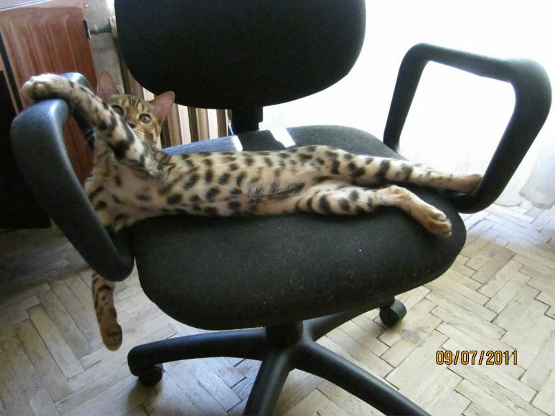 Анка Рыжая | Санкт-Петербург