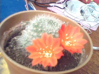 Наиля Фазуллина | Астана / Нур-Султан