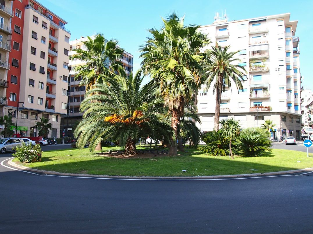 Дмитрий Белобровский | Санкт-Петербург