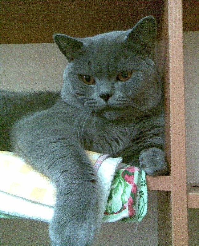 Андрей Шамагулов | Нефтекамск