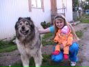 Фотография Павел Белухин