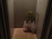 №15, Глеб Костенко, 25.9, Санкт-Петербург, Россия