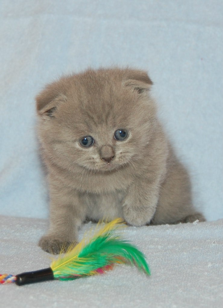 Алиночка Алина ✿ܓ✿ܓ✿ܓ | 