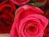 Кристина Петраш | Запорожье