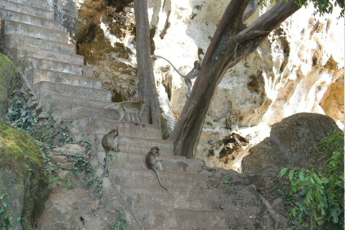 Анна Шугаева | Санкт-Петербург